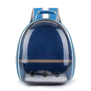 Capsule Backpack